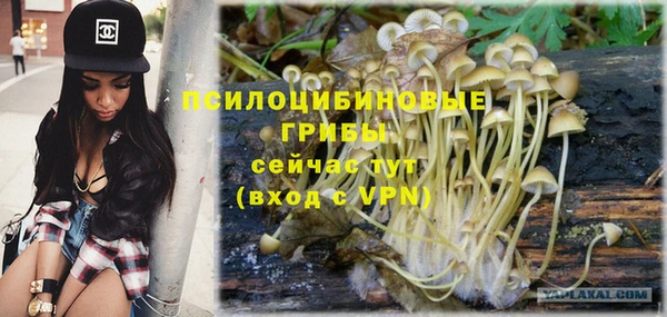 mdpv Дмитриев